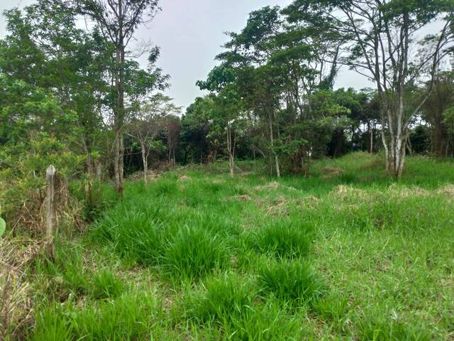#30 - Área para Venda em Barra do Piraí - RJ