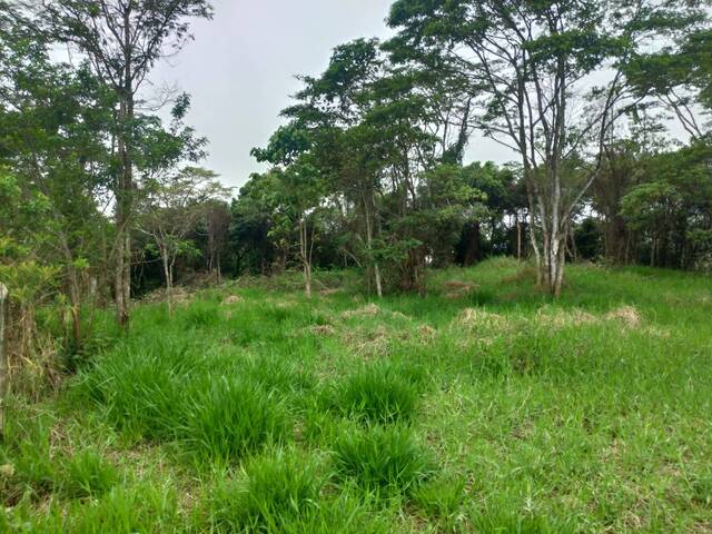 Área para Venda em Barra do Piraí - 4