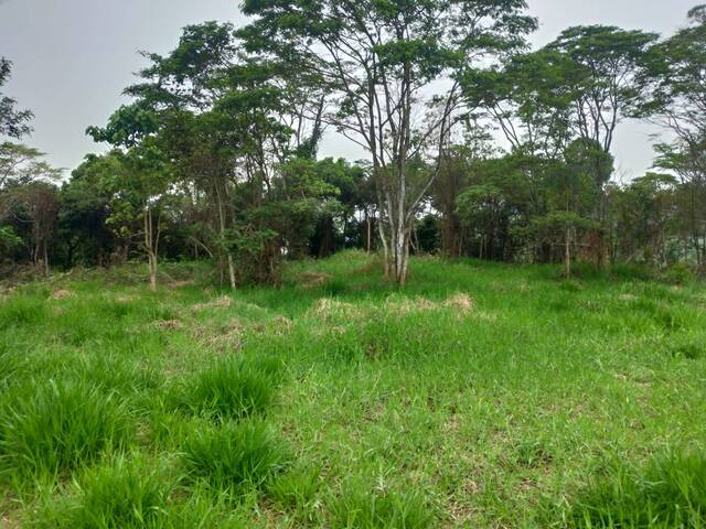 Venda em Ipiabas - Barra do Piraí