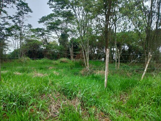 Área para Venda em Barra do Piraí - 5